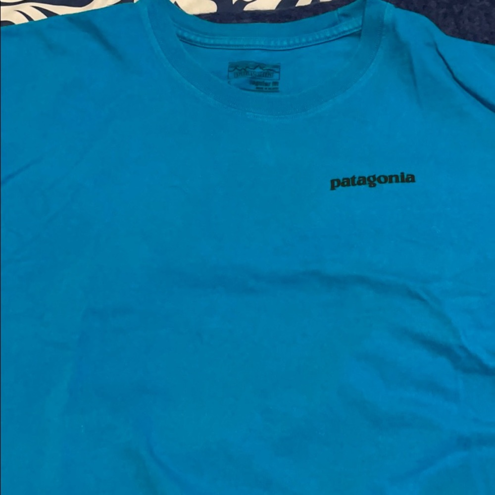 Patagonia Large tshirts. 100% cotton